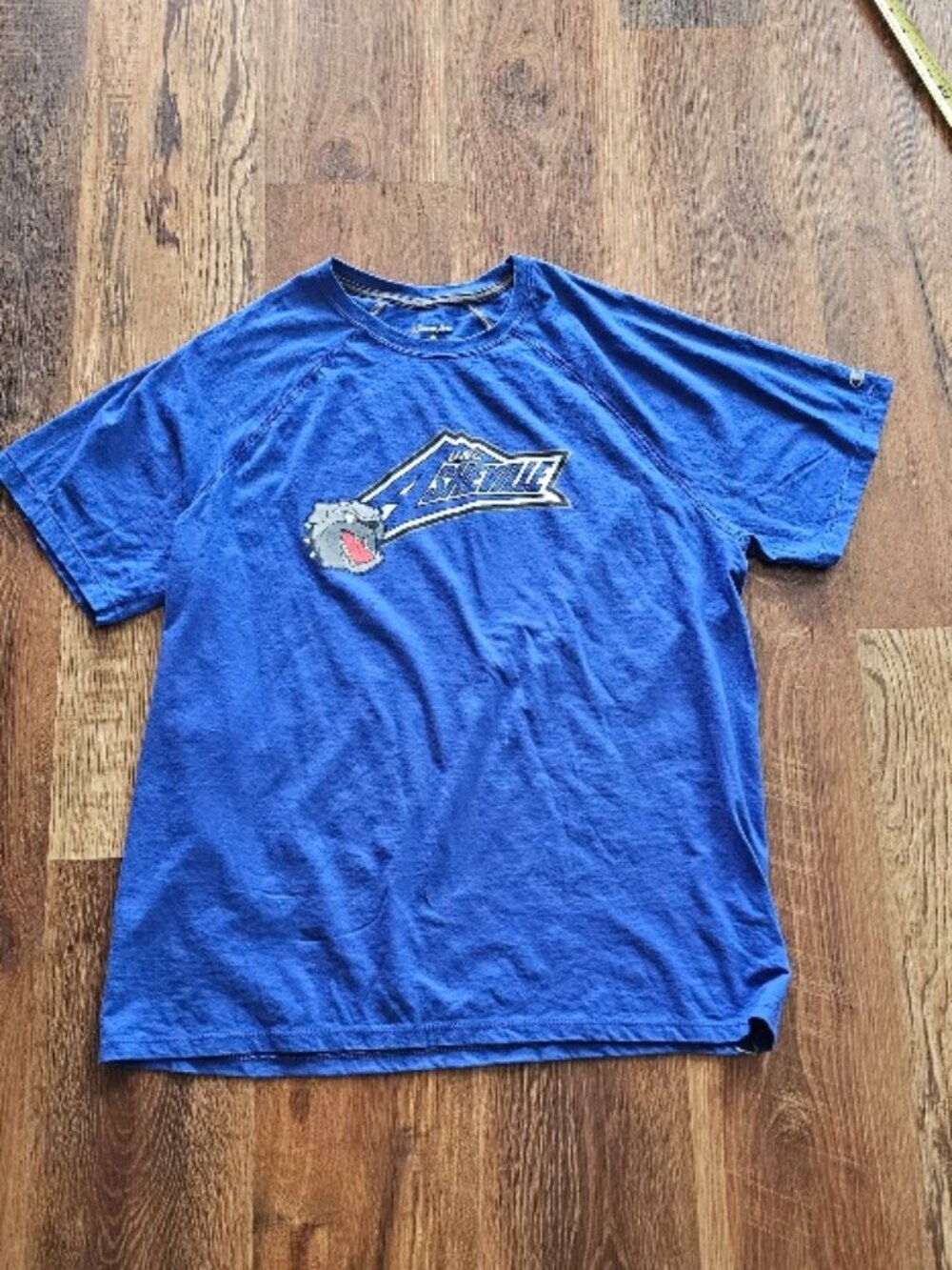 Champion Size XL Extra Large UNC Asheville Tee Tshirt T-Shirt EUC